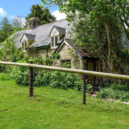 Lower Goytre Farmhouse Llanfair Waterdine Esterno foto